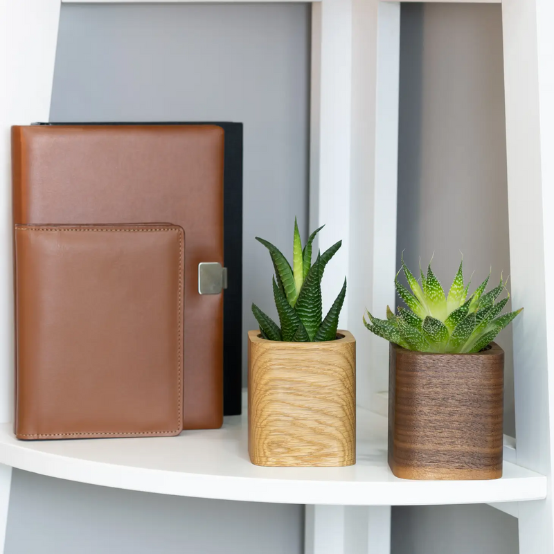 Cubic Pot - Home Works