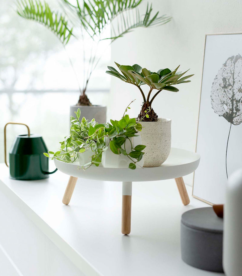 Countertop Pedestal Tray - Steel + Wood - Home Works