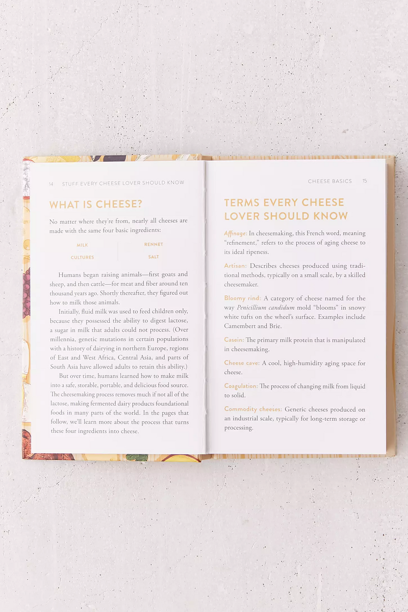 Stuff Every Cheese Lover Should Know Book - Home Works