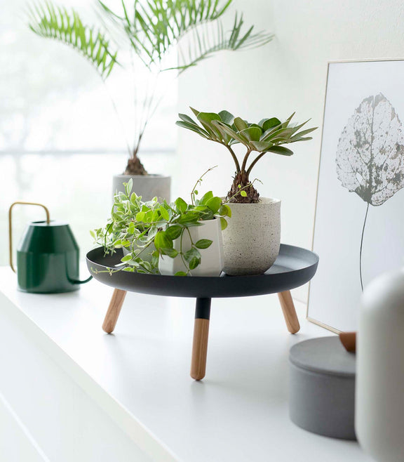 Countertop Pedestal Tray - Steel + Wood - Home Works