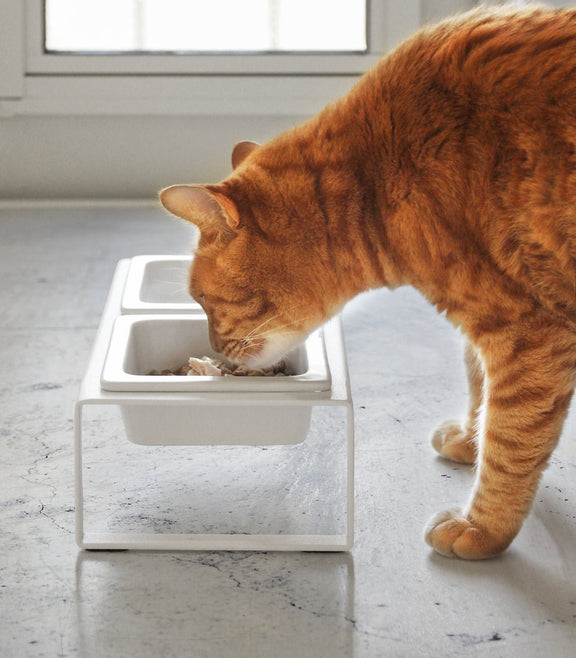 Pet Food Bowl - Home Works